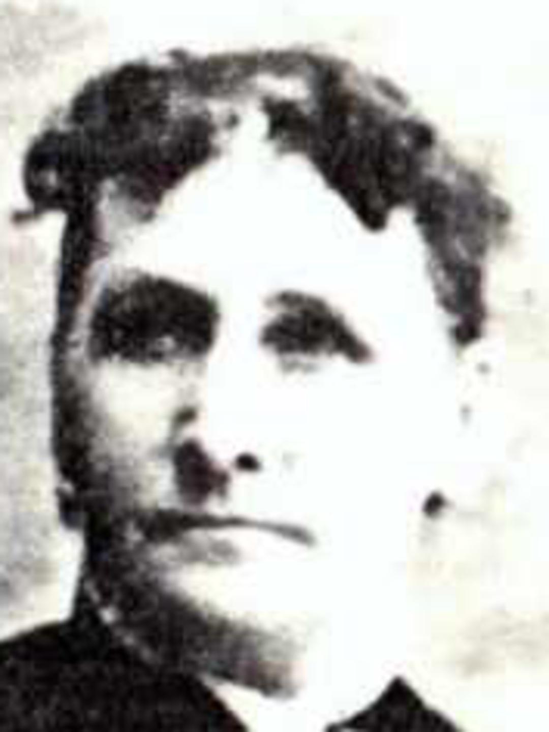 Ann Whitehead (1827 - 1906) Profile